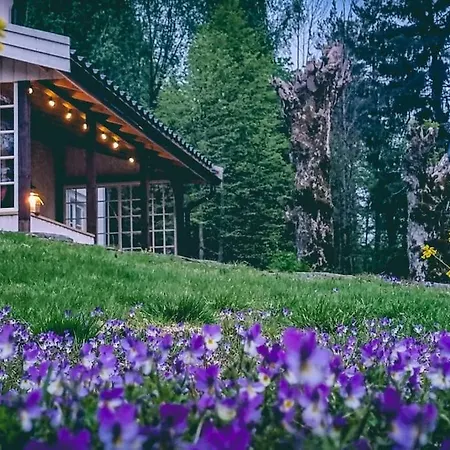 Romantic With Idyllic Garden Prázdninový dům