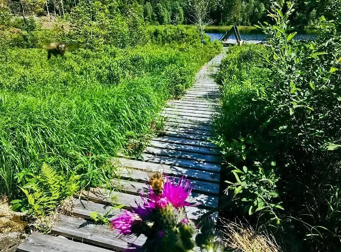 Romantic With Idyllic Garden Holiday home Vasjo