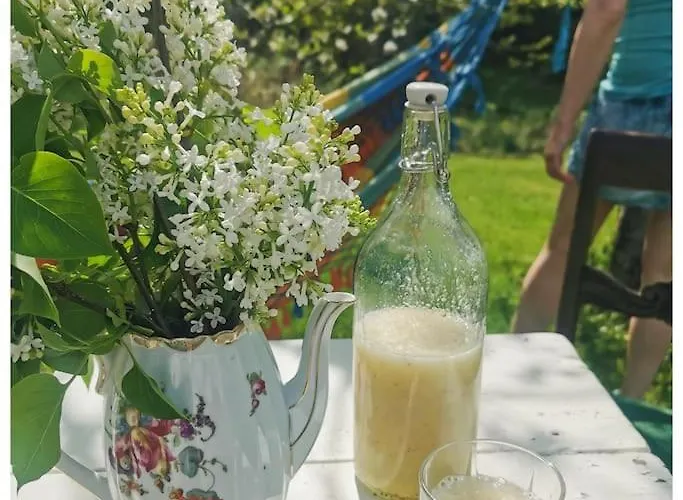 Romantic With Idyllic Garden Holiday home *